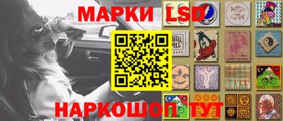 гидра Будённовск