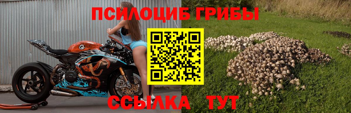 Псилоцибиновые грибы ЛСД Новокузнецк
