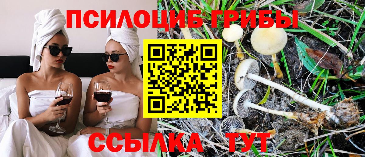Новокузнецк  Псилоцибиновые грибы Psilocybe  Вход с VPN  Галлюциногенные грибы MAGIC MUSHROOMS 